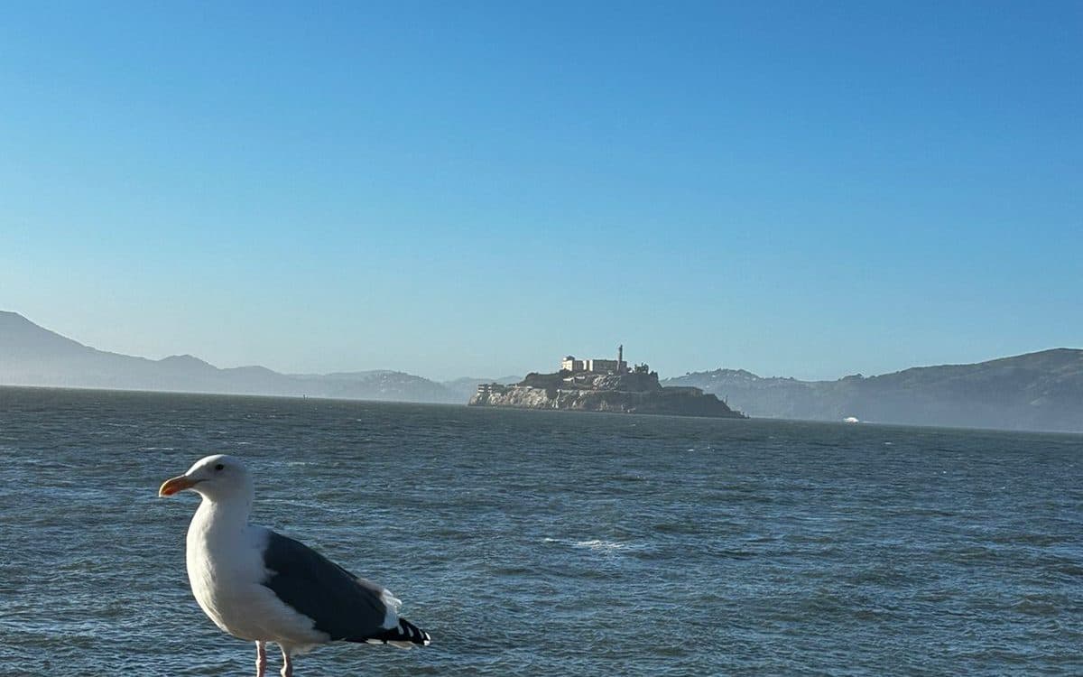 La isla de Alcatraz desde el muelle de San Francisco, el tour que no se pudo hacer por la falla eléctrica, 4 de octubre de 2024