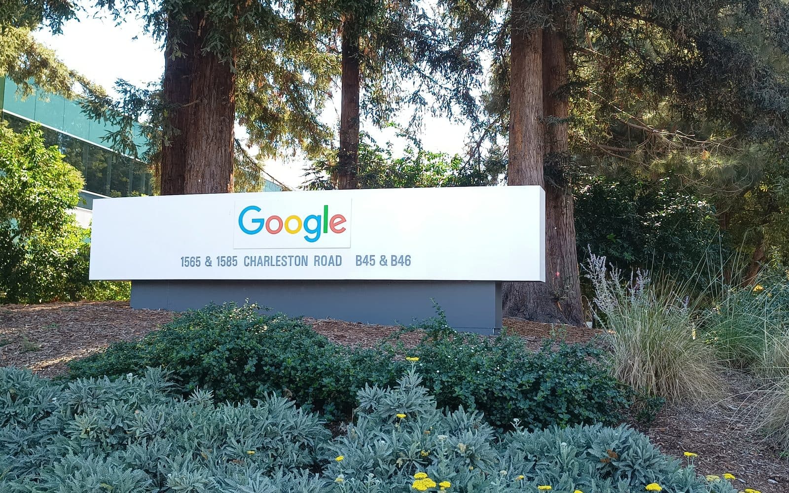 El letrero de Google en Charleston Road, Mountain View, entre secuoyas, 5 de octubre de 2024